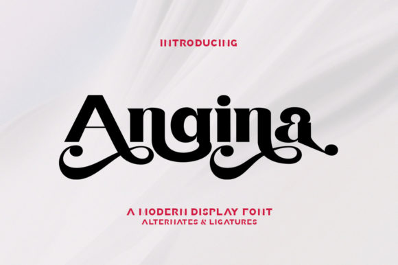 Angina Serif: A Designer’s Honest Review for Branding